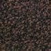 Brown / Black
